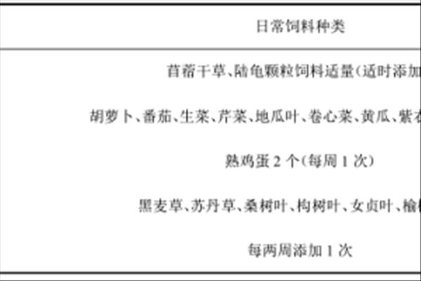 亚达伯拉象龟的日常饲养技术介绍