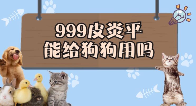 999皮炎平能给狗狗用吗