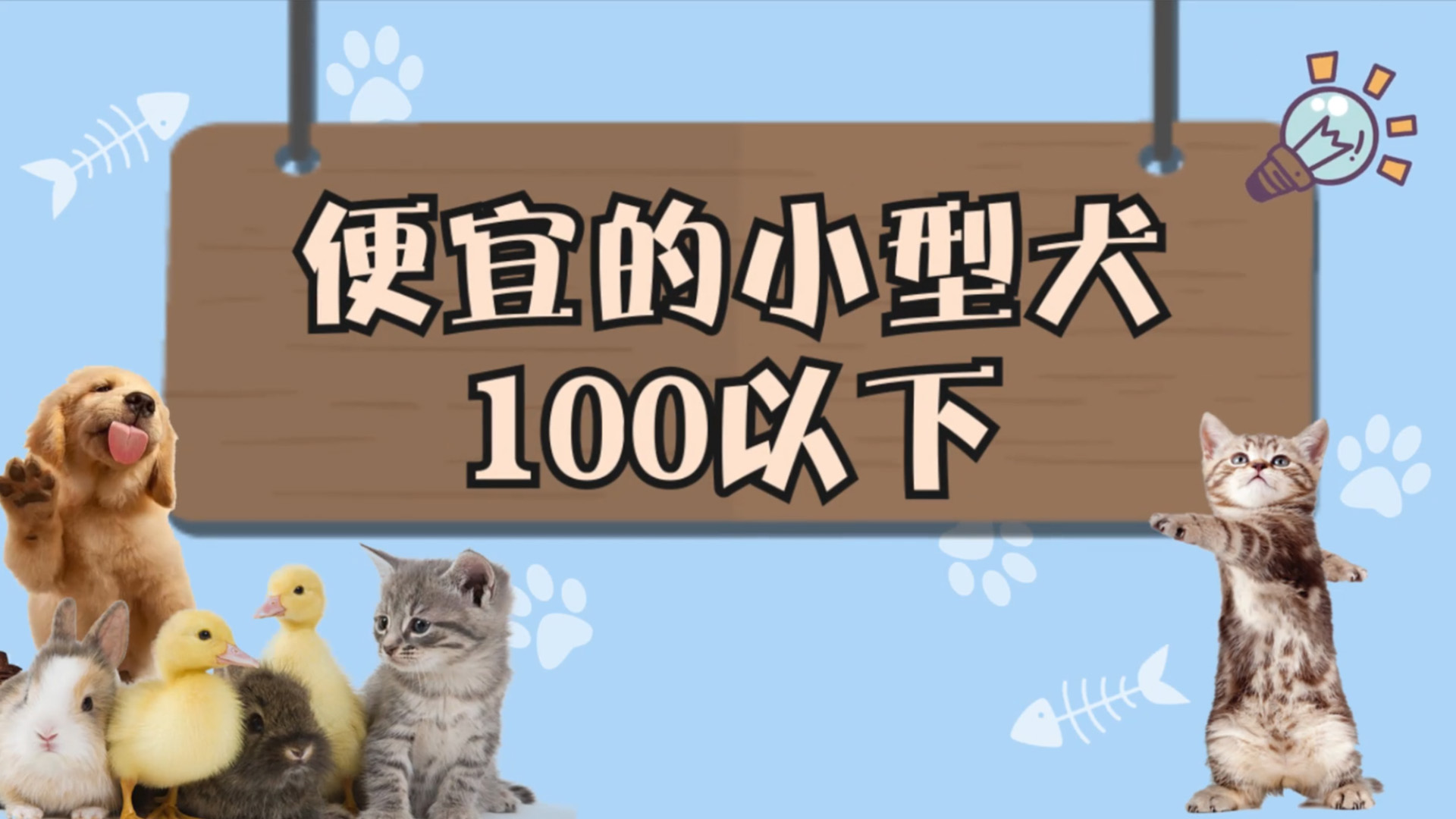 便宜的小型犬100以下