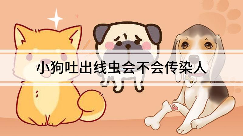 小狗吐出线虫会不会传染人