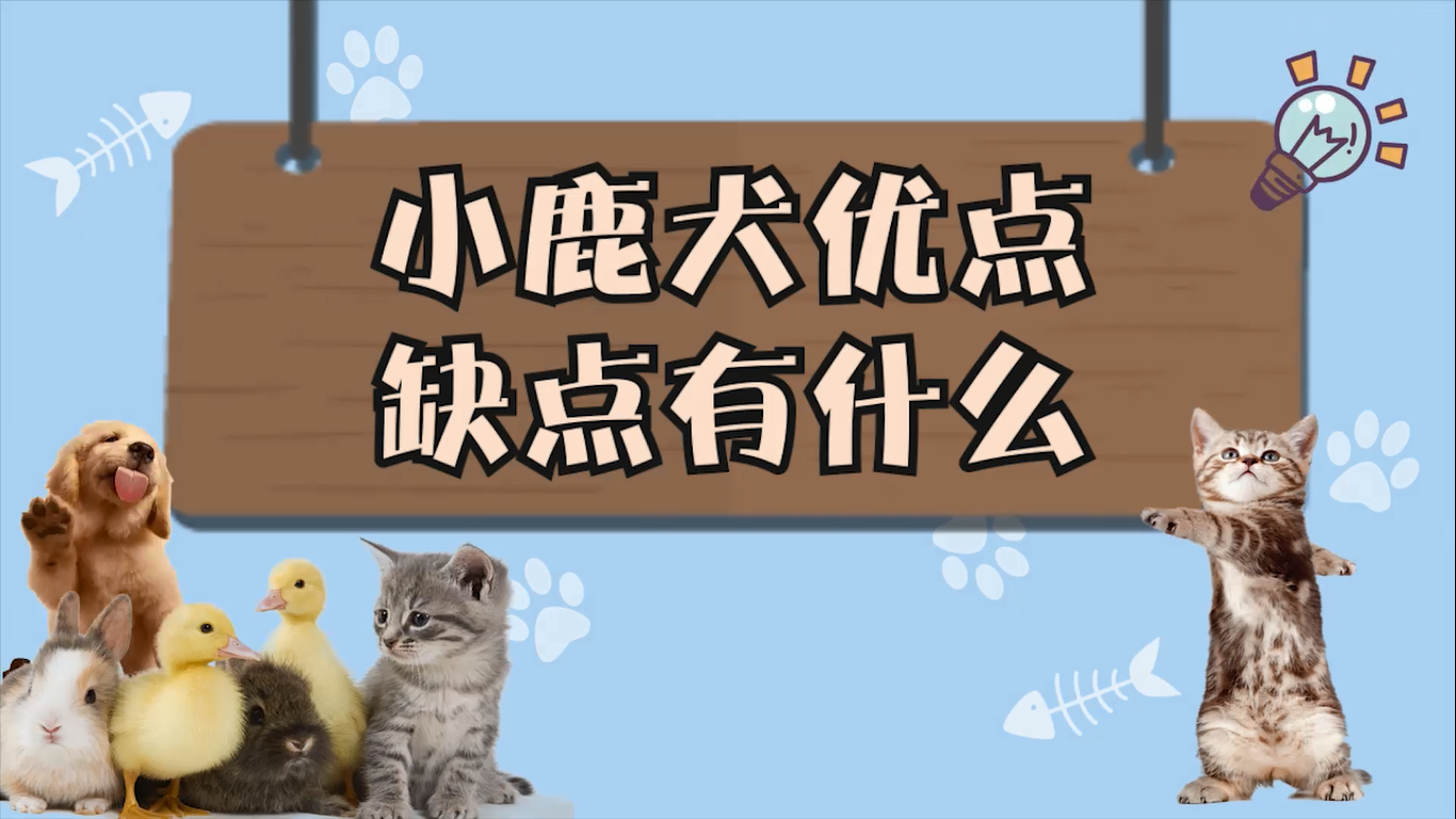 小鹿犬优点缺点有什么