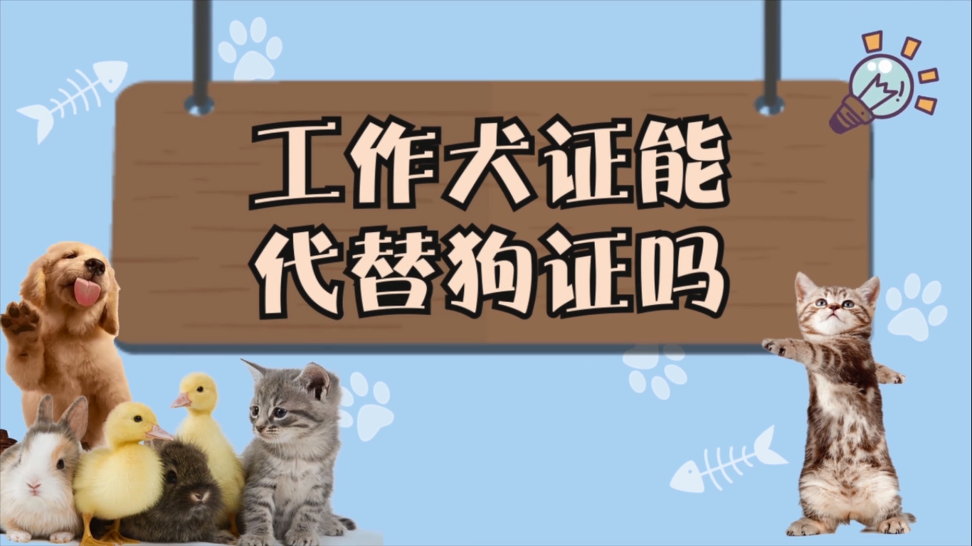 工作犬证能代替狗证吗