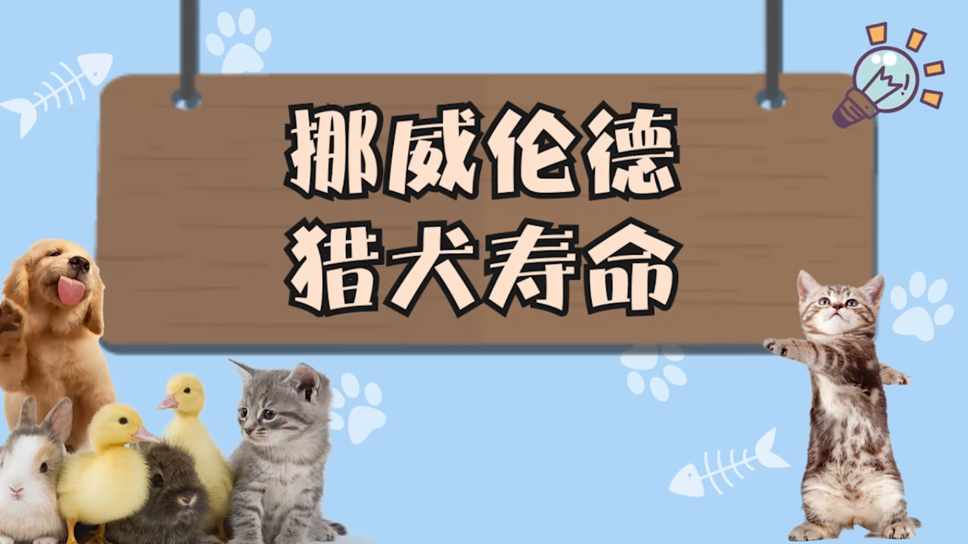 挪威伦德猎犬寿命