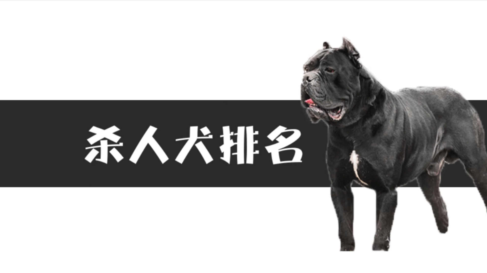 杀人犬排名