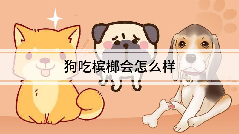 狗吃槟榔会怎么样