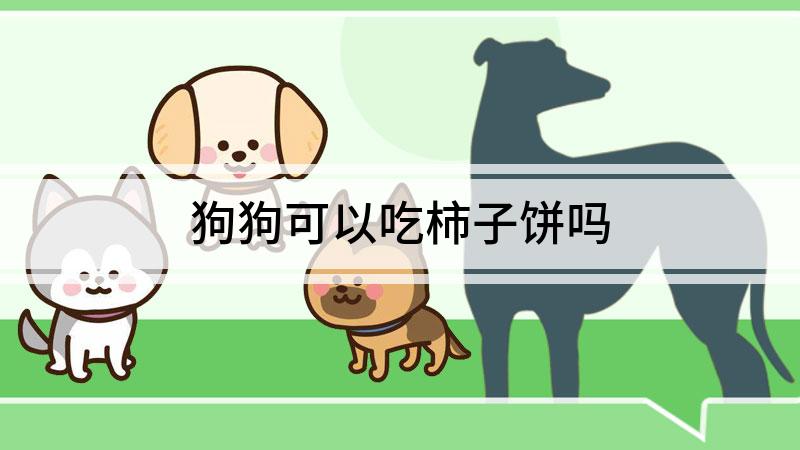 狗狗可以吃柿子饼吗