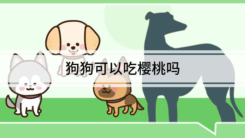 狗狗可以吃樱桃吗