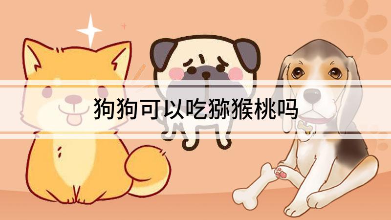 狗狗可以吃猕猴桃吗