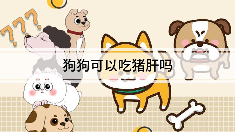 狗狗可以吃猪肝吗