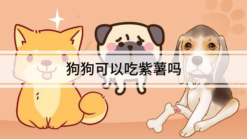 狗狗可以吃紫薯吗