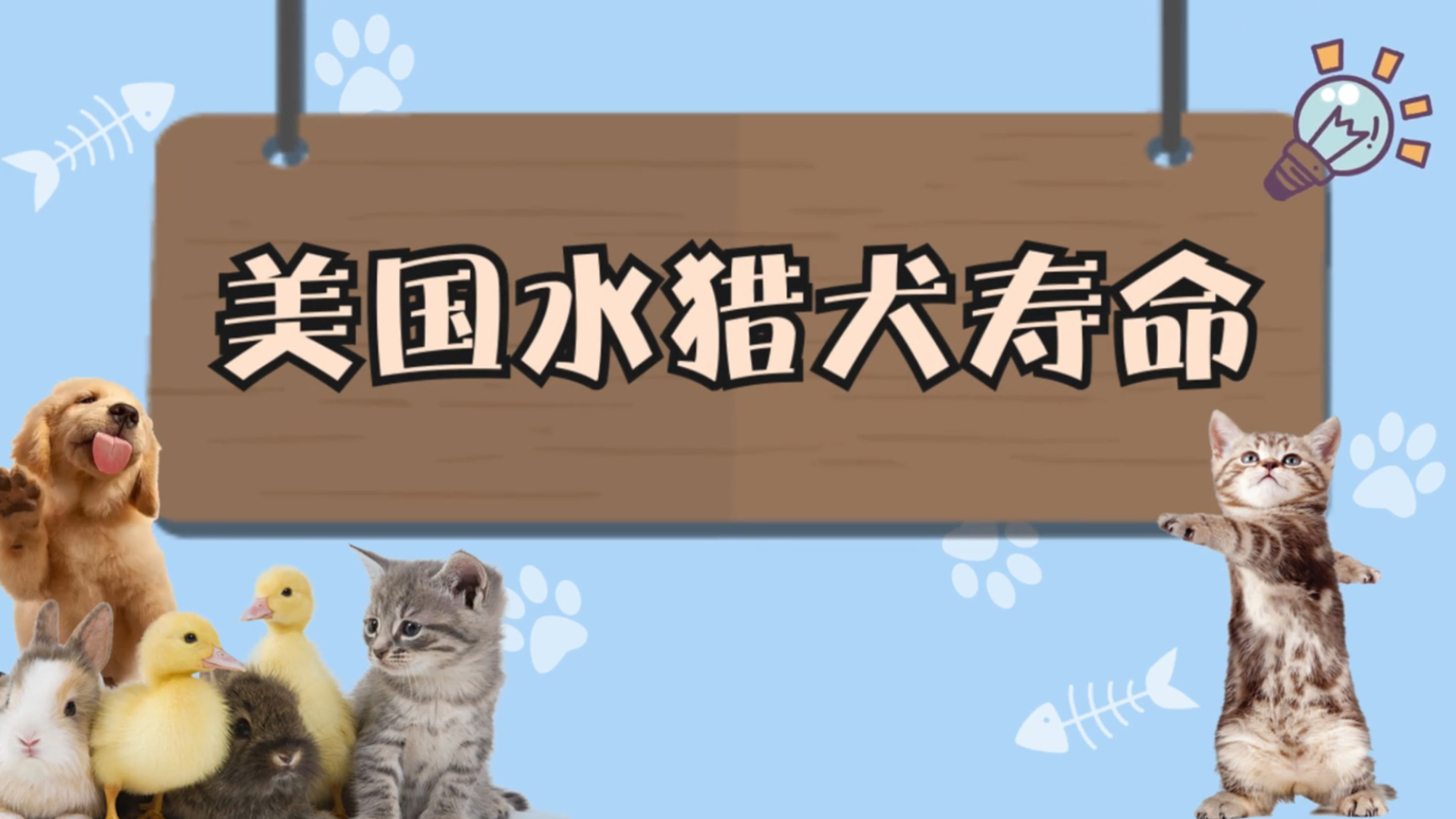 美国水猎犬寿命