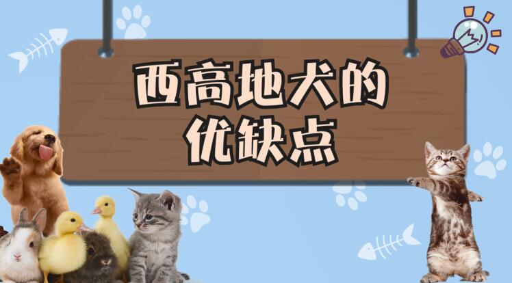 西高地犬的优缺点