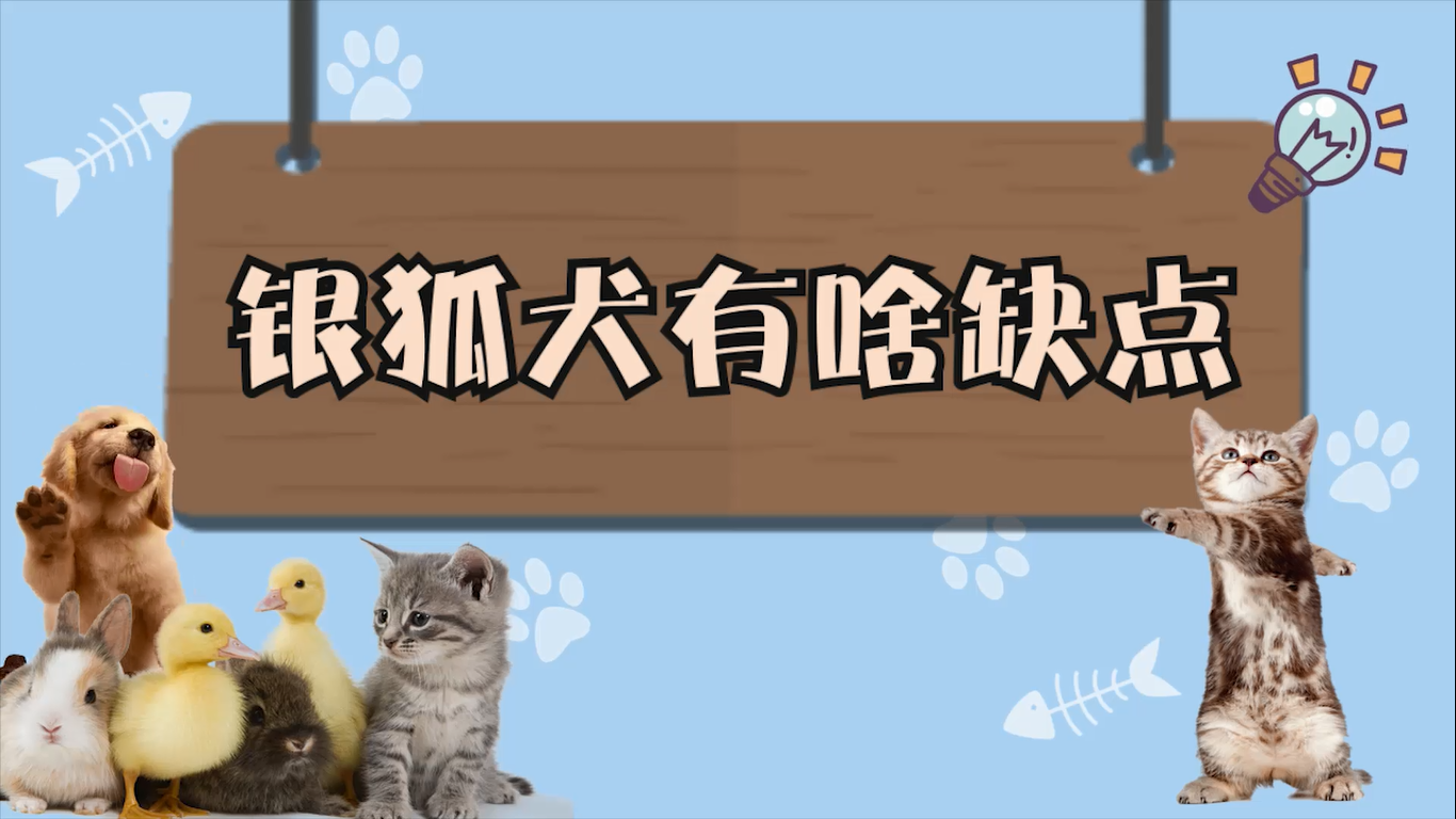 银狐犬有啥缺点