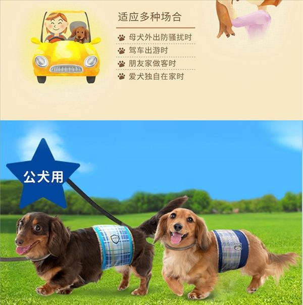 佳乐滋 礼貌裤母犬用M粉 34片