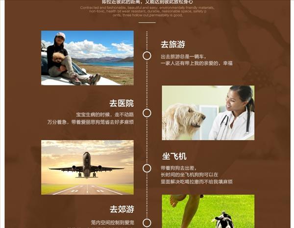 爱丽思IRIS 外出便携宠物旅行箱航空箱PHC480 猫狗通用