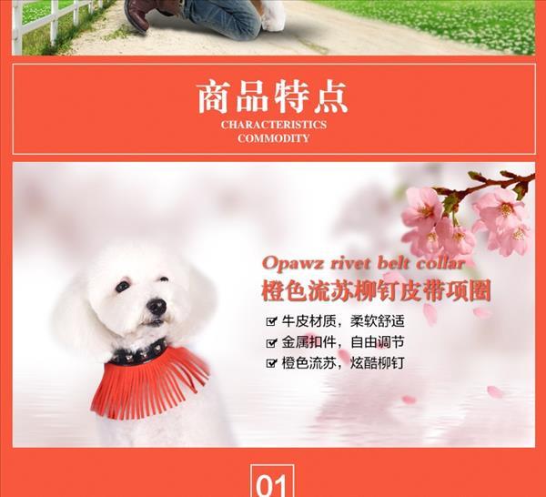 加拿大opawz 橙色流苏方形柳钉皮带项圈 中小型犬猫通用