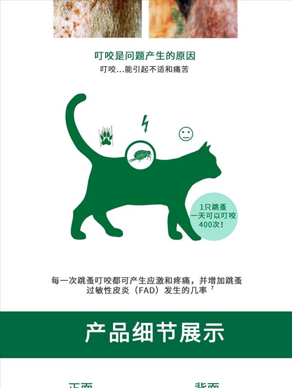 猫用内外同驱 拜宠清2片+旺滴静2支套餐 适用4kg以下