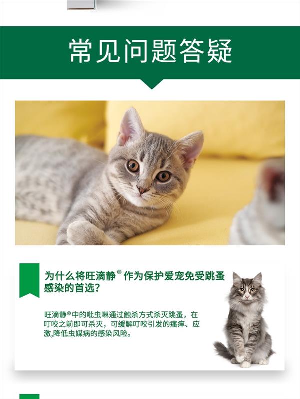 猫用内外同驱 拜宠清2片+旺滴静2支套餐 适用4kg以下