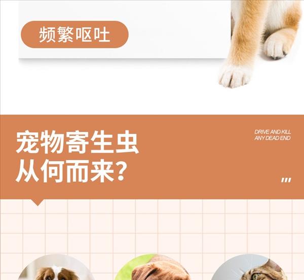 新宠之康 内外同驱口服驱虫药 犬猫通用 6片/盒 温和不刺激