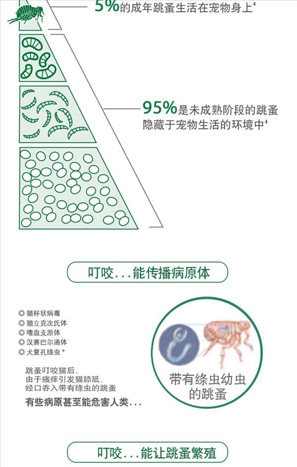 旺滴静（猫用）0.8ML X 4 适用于4kg以上猫咪  杀灭跳蚤