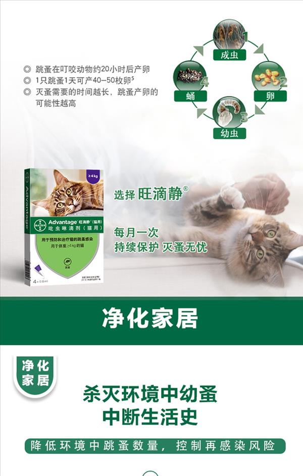 旺滴静（猫用）0.8ML X 4 适用于4kg以上猫咪  杀灭跳蚤