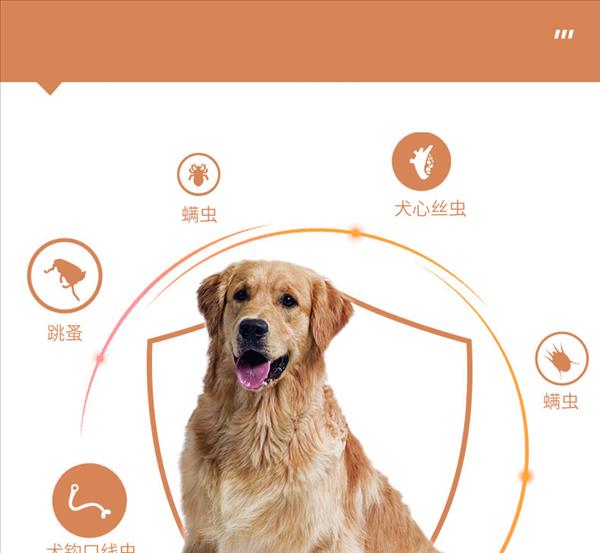 新宠之康 内外同驱口服驱虫药 犬猫通用 6片/盒 温和不刺激