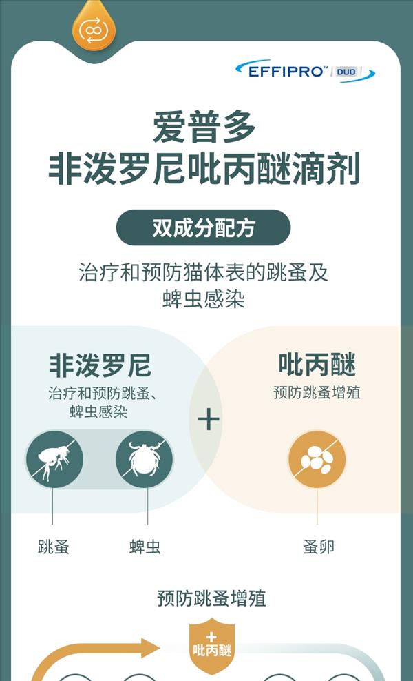 维克 爱普多 非泼罗尼吡丙醚滴剂（猫用0.5ml）2支装 2024/1/1到期 体外驱虫 驱跳蚤蜱虫