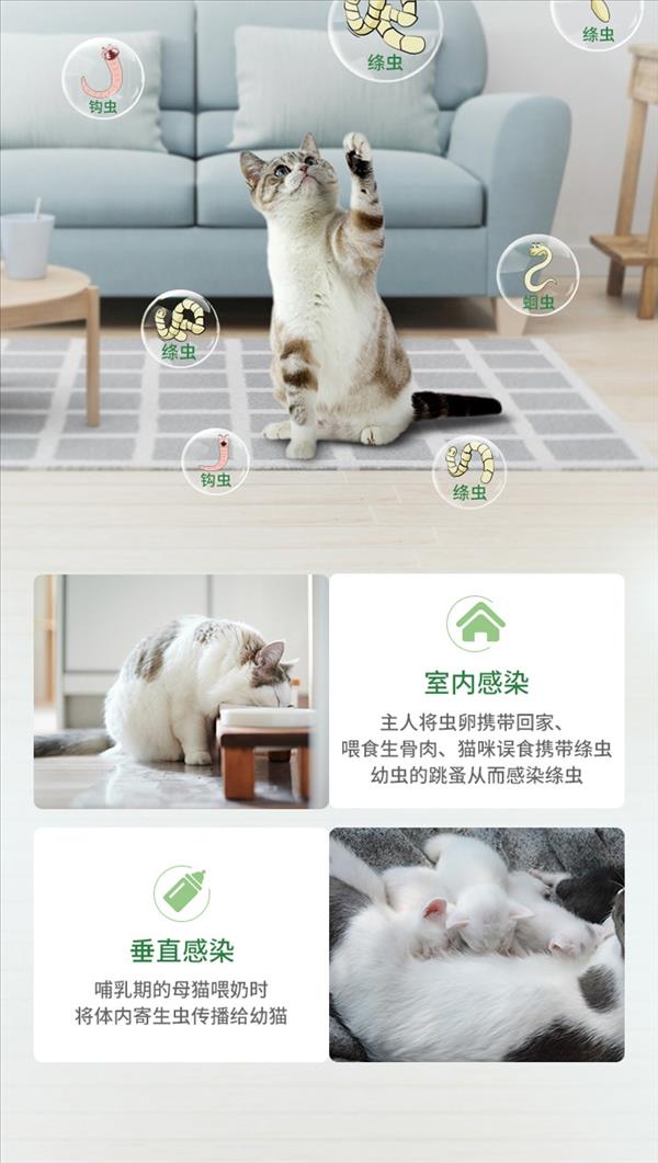 猫用内外同驱拜宠清2片+爱沃克3支装套餐 适用4kg以下