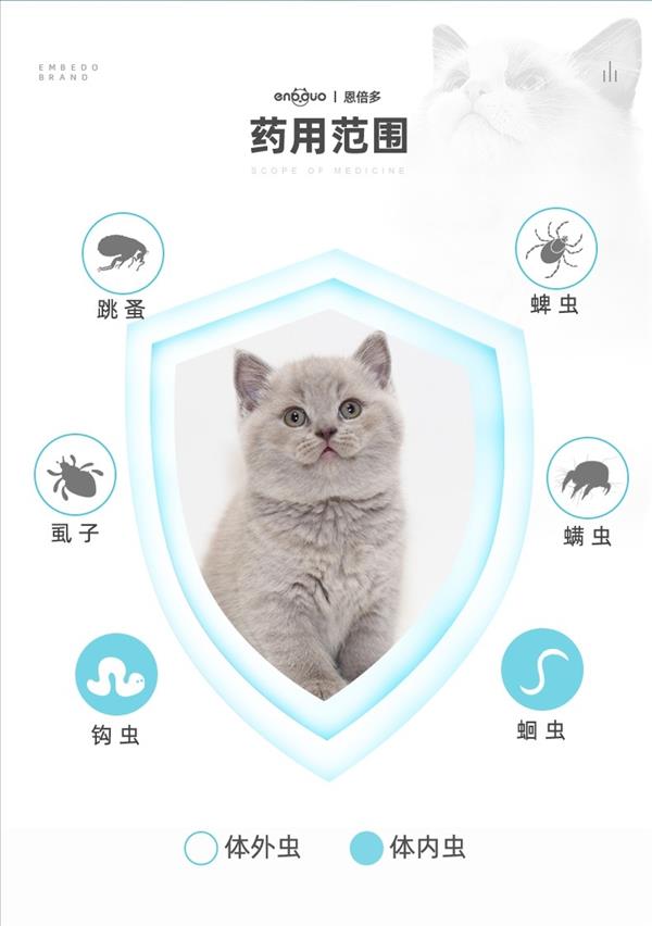 恩倍多 猫用体外驱虫 滴剂 适用1kg-5kg猫  0.5ml/1个月剂量