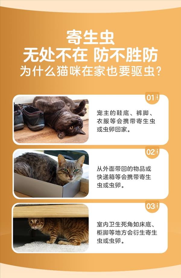 大宠爱 猫用内外同驱 驱虫滴剂 2.6-7.5KG适用  45mg*6支/盒  美国进口