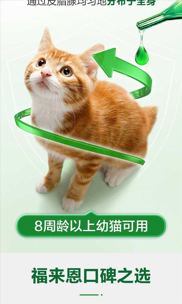 福来恩 猫用体外驱虫滴剂 单支/1个月剂量 法国进口 2023/12/1到期