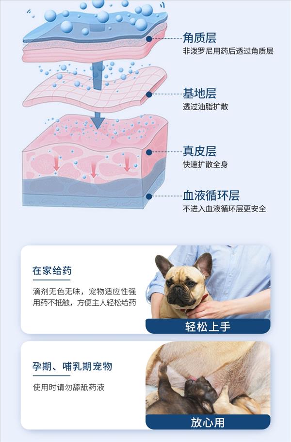 D-cat多克 非泼罗尼滴剂 体外驱虫 适用于10kg以下 0.67ml*3支 犬用驱虫