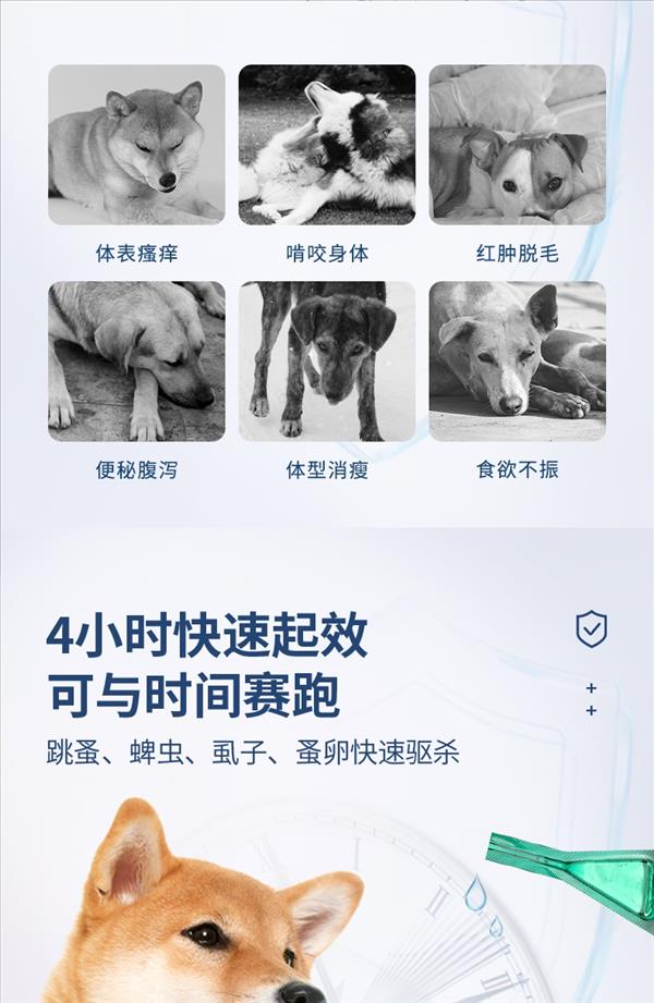 D-cat多克 非泼罗尼滴剂 体外驱虫 适用于10-20kg 1.34ml*1支 犬用驱虫