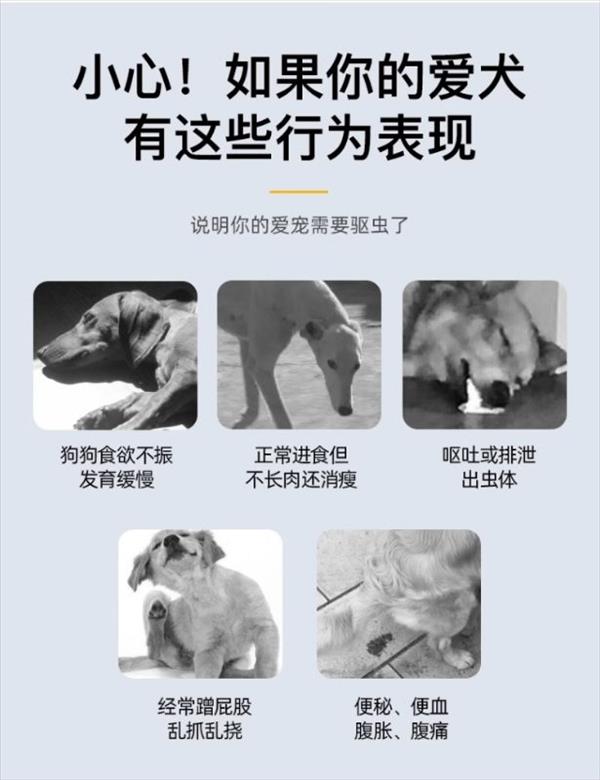 雷米高Ramical 犬猫体内驱虫 口服驱虫药 阿苯达唑单片 广谱抗虫 整盒拆卖 包装内无效期展示 介意慎拍