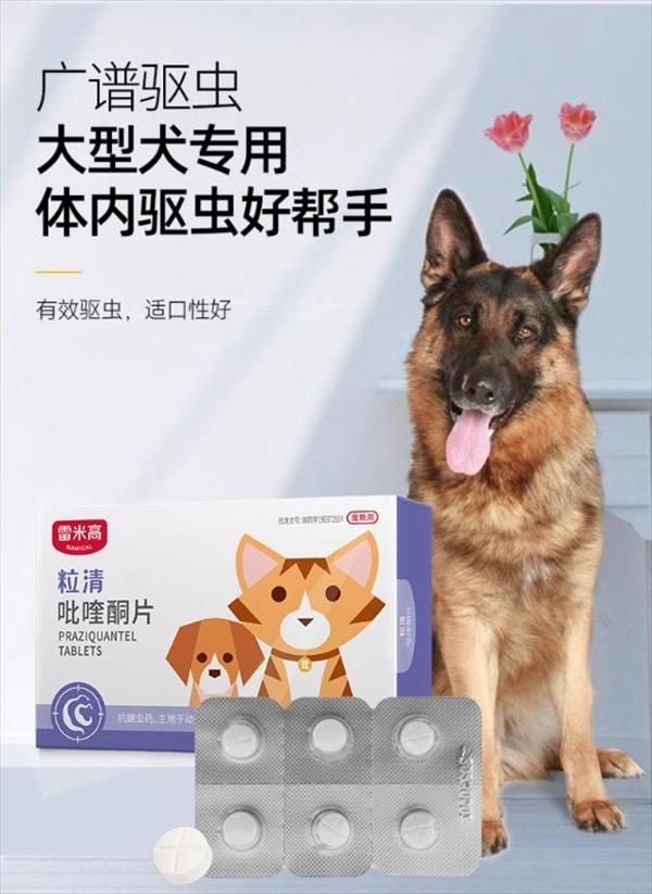 雷米高Ramical 犬猫体内驱虫 口服驱虫药 阿苯达唑单片 广谱抗虫 整盒拆卖 包装内无效期展示 介意慎拍