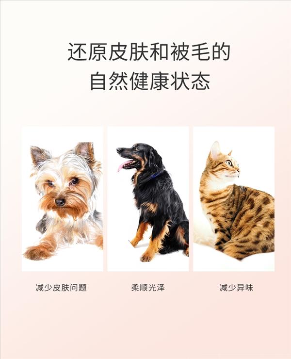 法国维克Virbac 爱乐滴 犬猫皮肤病滴剂  >10kg适用 4ml*6支装 猫癣皮肤病修复 法国进口  2023年12月到期