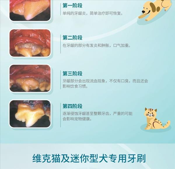 维克 猫和小型犬专用牙刷（软刷毛）单支 三种颜色随机发 口腔清洁