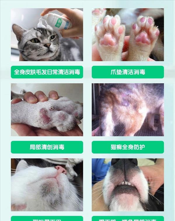 小宠 肤可安 70ml 犬猫通用 快速清洁杀菌