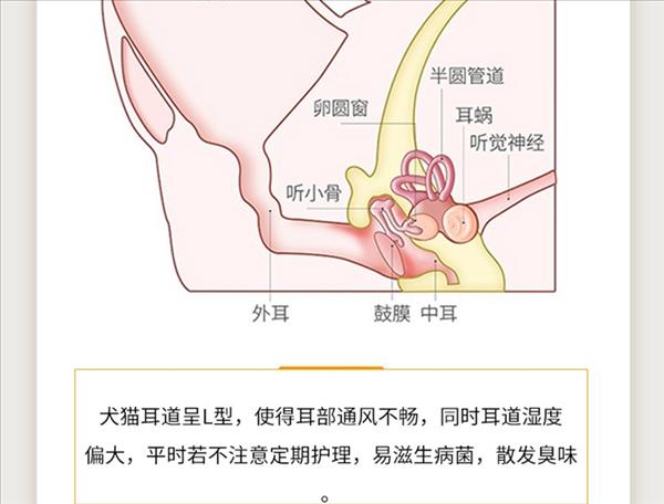 新宠之康 猫狗宠物滴耳油 30ml 治疗耳螨中耳炎