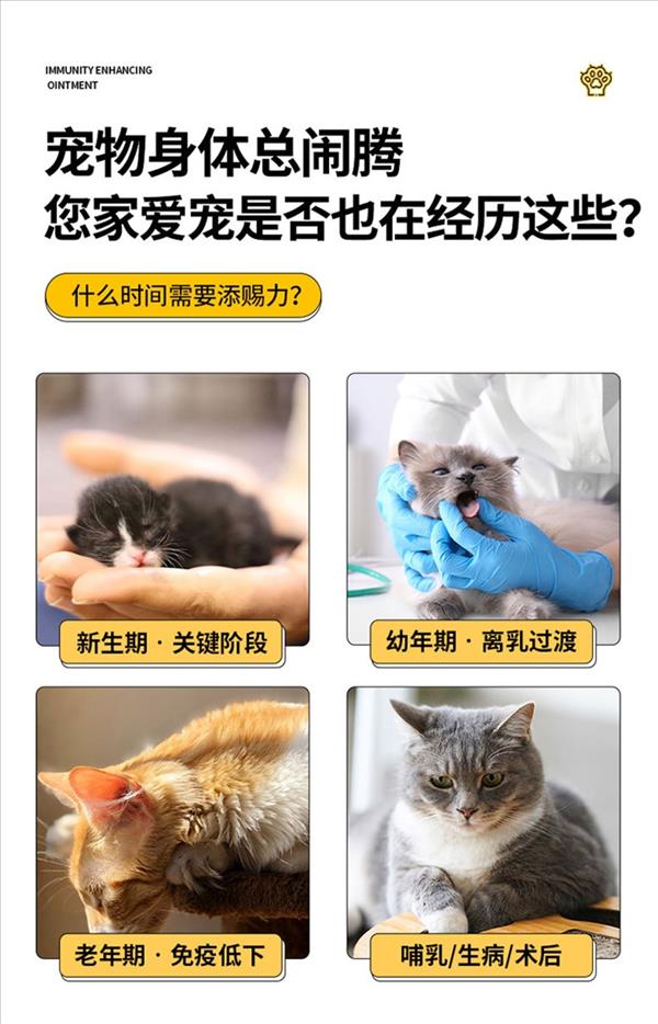 添赐力 免疫增强膏 15ml 犬猫通用 孕猫幼猫含乳铁蛋白