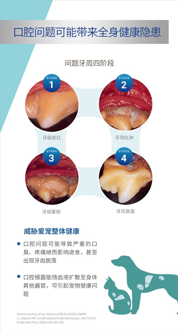 法国维克Virbac 犬猫鸡肉味复合酶牙膏盒装刷牙牙膏 70g   口腔清洁 法国进口