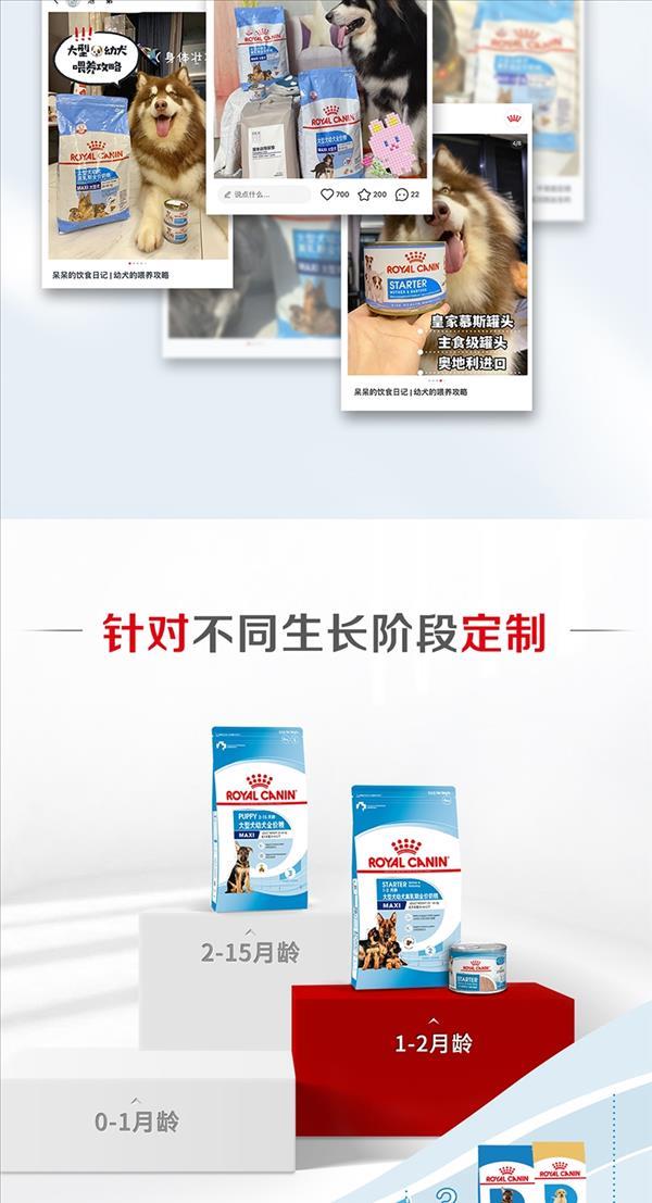 法国皇家Royal Canin 大型犬幼犬离乳期奶糕粮 4kg