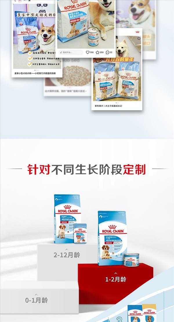 法国皇家Royal Canin 中型犬幼犬离乳期奶糕粮 4kg