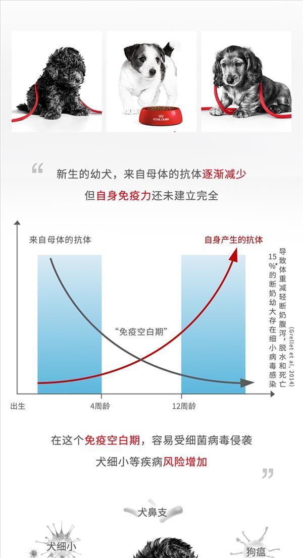 法国皇家Royal Canin 小型犬幼犬离乳期奶糕粮 10kg MIS30