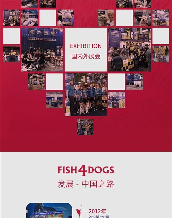 海洋之星 Fish4Dogs臻越成犬粮小颗粒 1.5kg 比利时进口