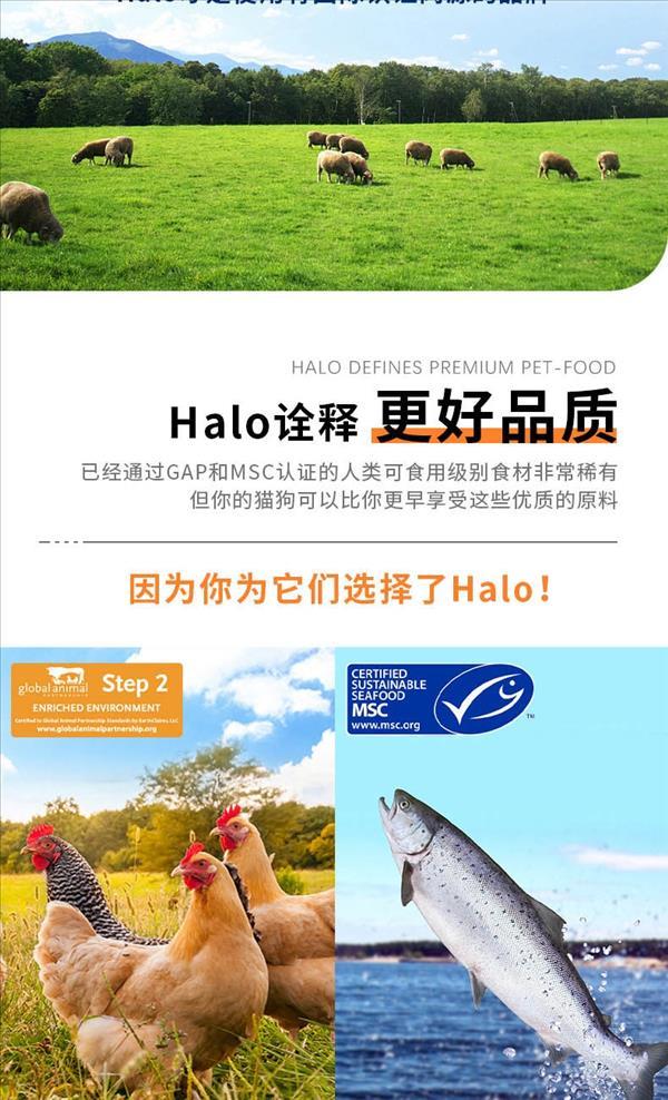 美国Halo自然光环 健康体态野生三文鱼&白鱼味无谷全价小型成犬粮 10磅