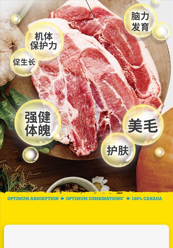 T26纽顿 全价犬粮羊肉&豌豆配方大颗粒 11.4kg