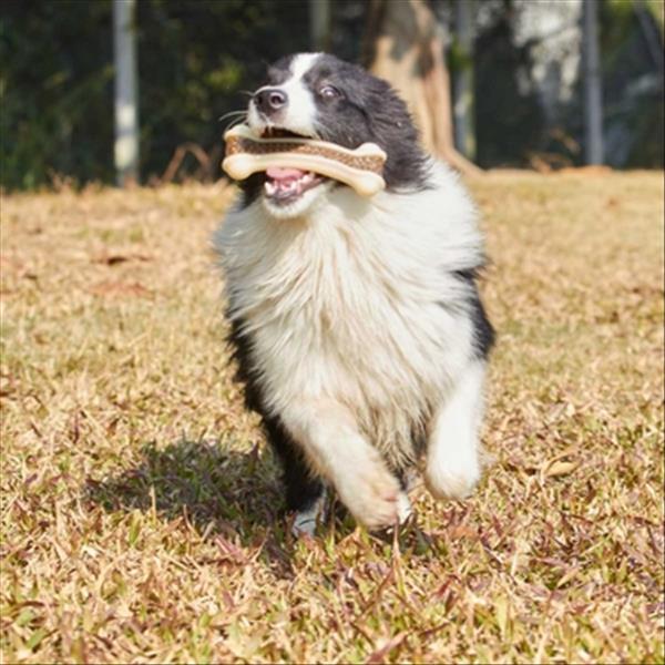 宜特 狗狗耐咬弯骨牛皮磨牙棒