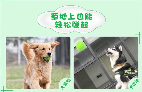 宜特 狗狗耐咬磨牙训练发声玩具球