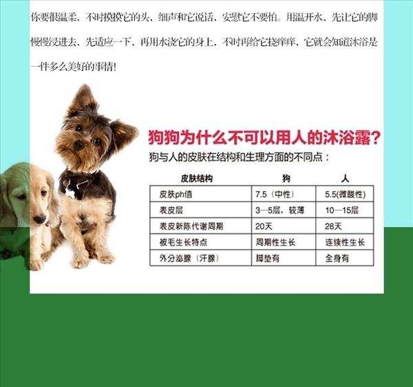 美国富美内特FURminator 天然除臭香波 犬猫通用 473ml